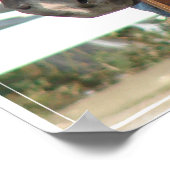 Poster Pinto Pony occidental (Coin)