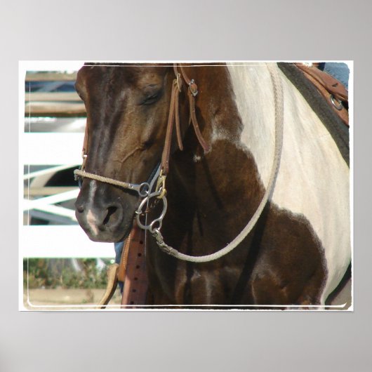 Poster Pinto Pony occidental (Devant)