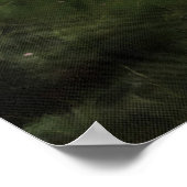 Poster Pinus pinea Pinetree Forest Painting (Coin)