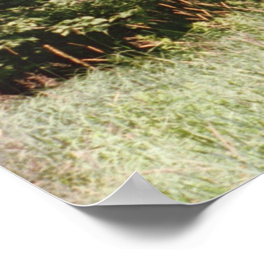 Poster Pipeline Emprise (Coin)