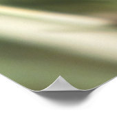 Poster Pipevine Swallowtail Butterfly Caterpillar (Coin)