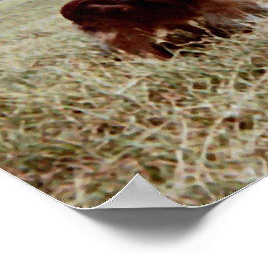 Poster Pippin (Coin)