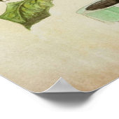 Poster Piranha Plant Illustration botanicale (Coin)