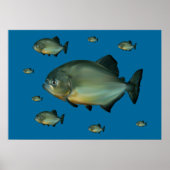 Poster Piranhas (Devant)