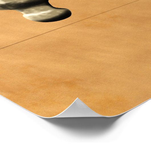 Poster Pirate (Coin)