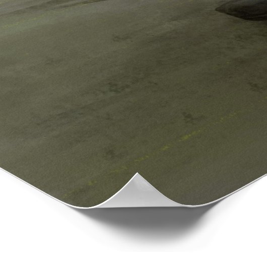 Poster pirate (Coin)