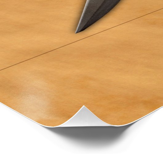 Poster Pirate Crâne et épées (Coin)