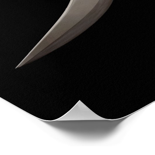 Poster Pirate Rose Compass (Coin)