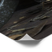 Poster Pirate Skuls (Coin)