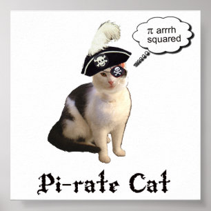 Poster PiRateCat