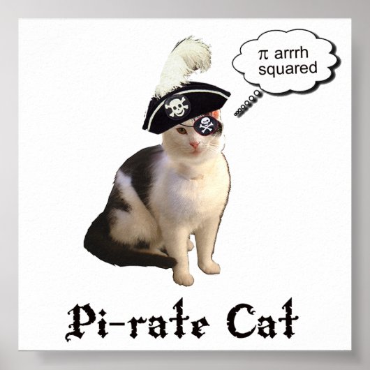 Poster PiRateCat (Devant)