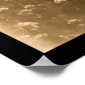 Poster Pirates Giants Baseball Photo 1904 (Coin)