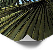 Poster  Piritu (Coin)