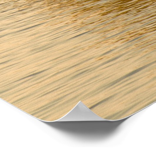 Poster Piroguier Vezo (Coin)