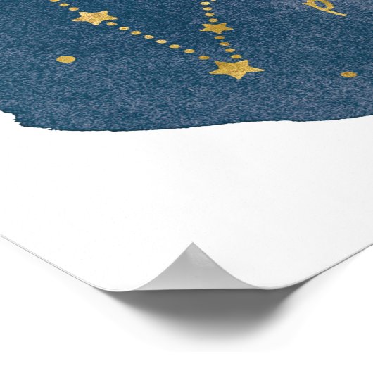 Poster Pisces (Coin)