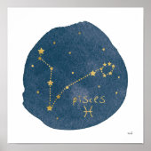 Poster Pisces (Devant)