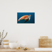 POSTER PISCINE TORTUE MARINE (Cuisine)
