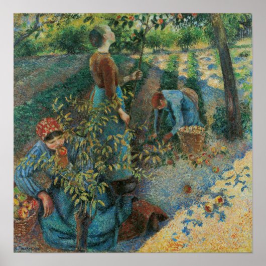 Poster Pissarro - Cueillette de pommes (Devant)