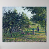 Poster Pissarro - Pommiers À Eragny 1895 (Devant)