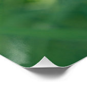 Poster Pissenlit dans la verdure avec une douce lumière e (Coin)