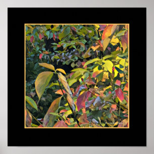 Poster Pistache chinoise à l'automne