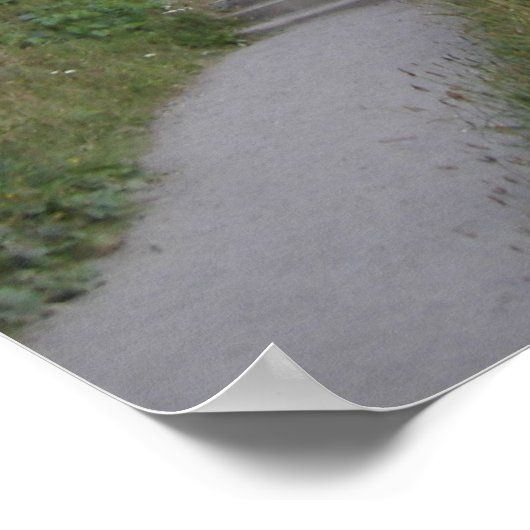 Poster Piste Agate Beach (Coin)