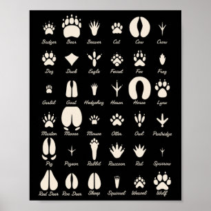 Poster Piste d'animal S Animaux communs et traces de faun