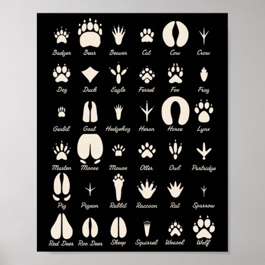 Poster Piste d'animal S Animaux communs et traces de faun (Devant)