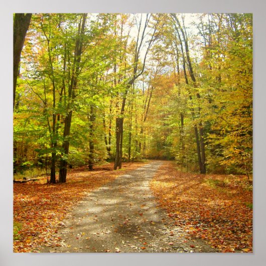 Poster Piste d'automne (Devant)