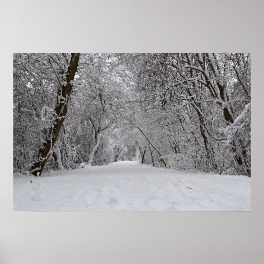 Poster Piste de neige (Devant)