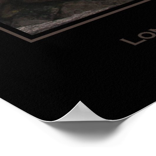 Poster Piste de pointe Jagged Longs (Coin)