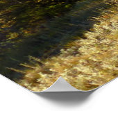 Poster Piste du lac Nymph au début de l'automne (Coin)