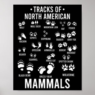 Poster Pistes d'animaux sauvages de mammifères nord-améri