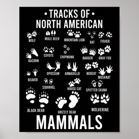 Poster Pistes d'animaux sauvages de mammifères nord-améri (Devant)