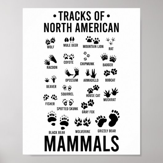 Poster Pistes d'animaux sauvages de mammifères nord-améri (Devant)