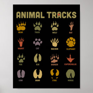 Poster Pistes d'animaux sauvages pour enfants Kids Appren