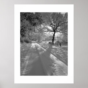 Poster Pistes dans la neige : Cheshire