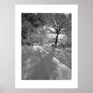 Poster Pistes dans la neige : Cheshire