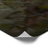 Poster Pistes d'automne (Coin)