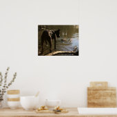 Poster "Pit Bull" (Keuken)