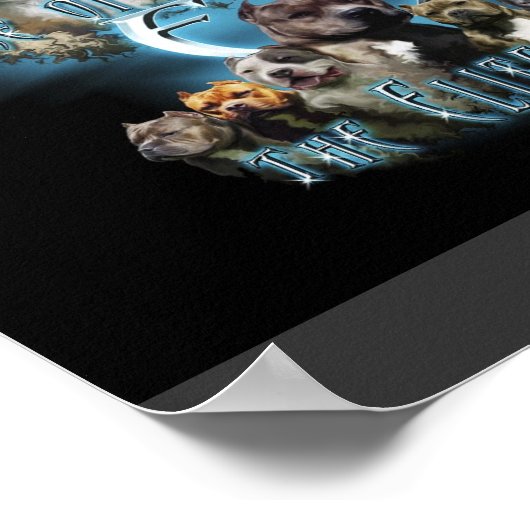 Poster Pit Bull (Coin)