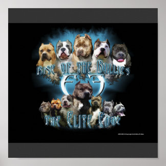 Poster Pit Bull