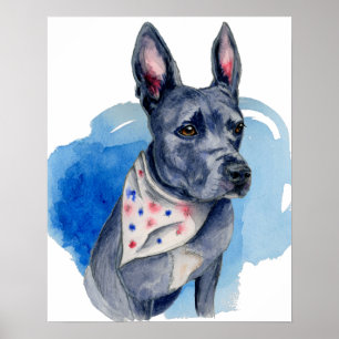 Poster Pit Bull Chien Blue Aquarelle Peinture