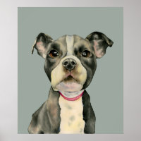 Pit Bull Terrier Chien Chien Chien Chien Aquarelle