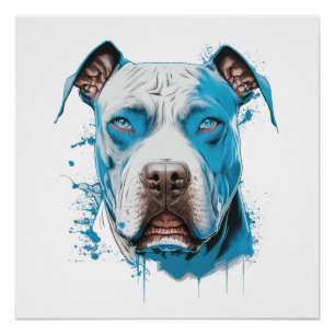 Poster Pitbulbe blanc aux yeux bleus