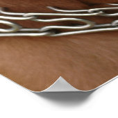 Poster Pitbull (Coin)