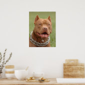 Poster Pitbull (Cuisine)