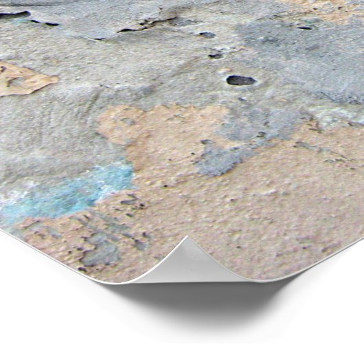 Poster Pitbull (Coin)