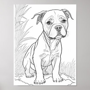 Poster Pitbull Chien Adult Coloration