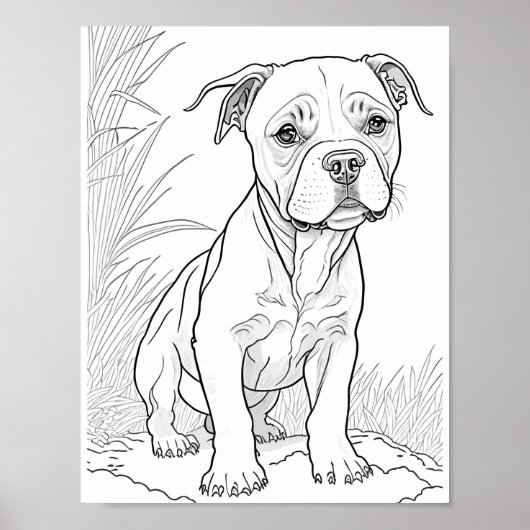 Poster Pitbull Chien Adult Coloration (Devant)